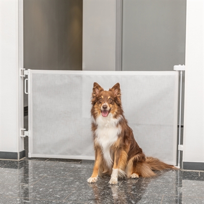 Notice and Take Down-procedure